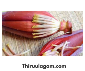 வாழைப்பூ மருத்துவ பயன்கள் - valaipoo Benefits In Tamil